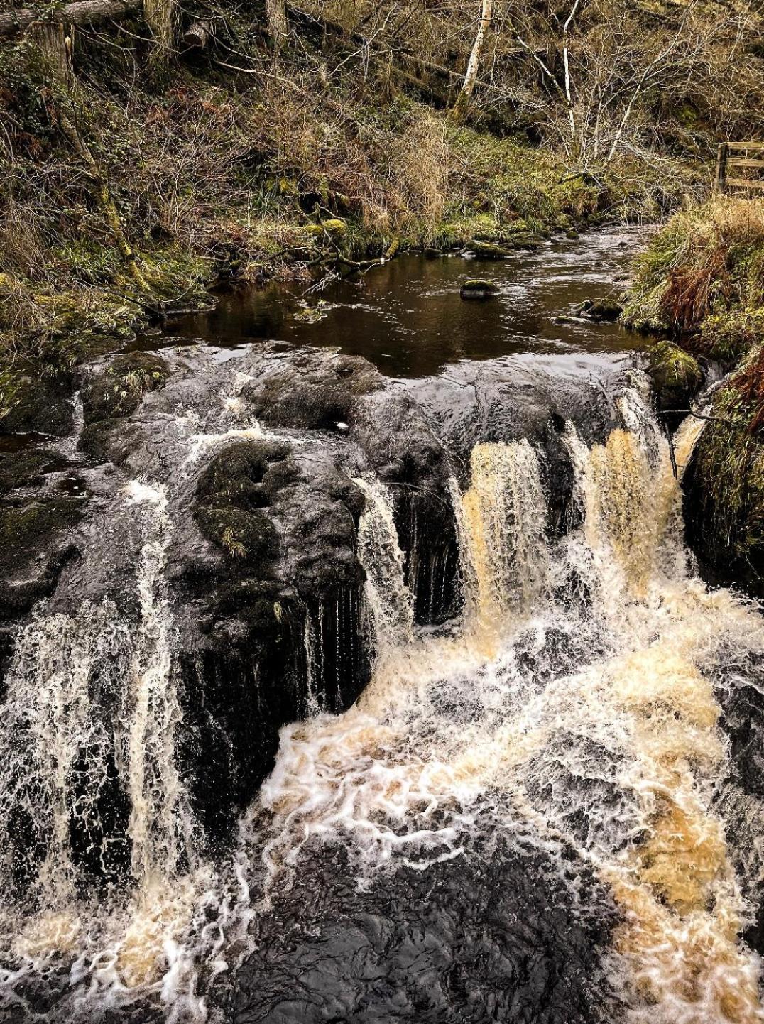 Glenariff Forest Evergreen Lodge 외부 사진